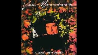 Van Morrison – A Sense Of Wonder/B2  Boffyflow And Spike / Mercury – MERH 54  UK 1984