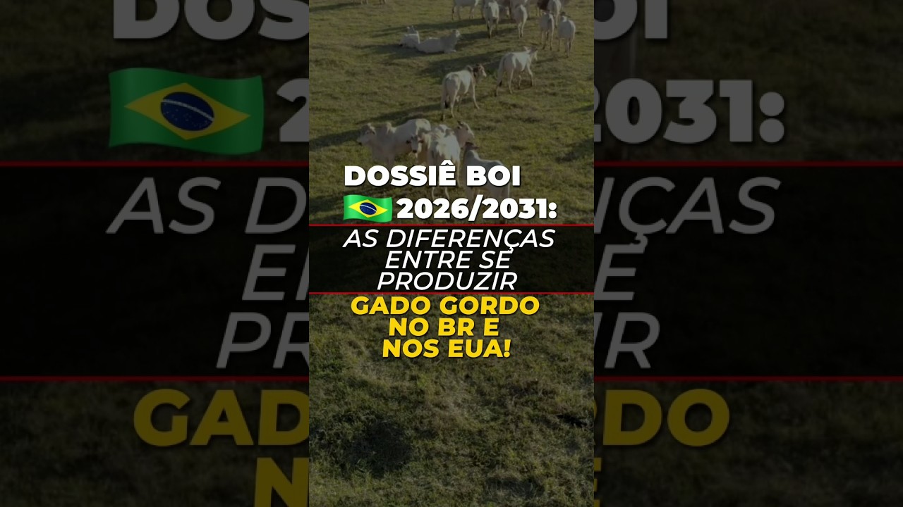 BOI BR 2026/2031: AS DIFERENÇAS ENTRE SE PRODUZIR GADO NO BR E NOS EUA!