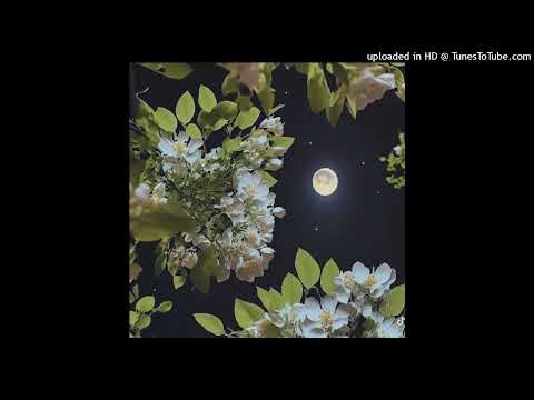 free /  pitfall + redpriest + vinso type beat / prod by kyonely