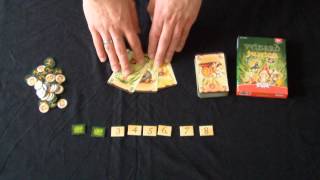 Wizard Junior Regelerklärung (deutsch)