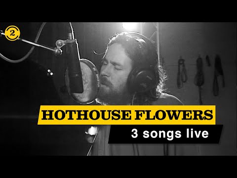 HOTHOUSE FLOWERS - Live in 1993 | DON'T GO, AN EMOTIONAL TIME, BE GOOD  on 2 Meter Sessions
