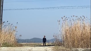 오늘도 진우는 기차를 기다립니다.내용