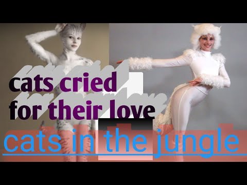 cat||| cried cat||#cat #catcryingsound