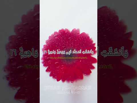 #quranchapter #islamicartwork #shorts_video #fazlul 85