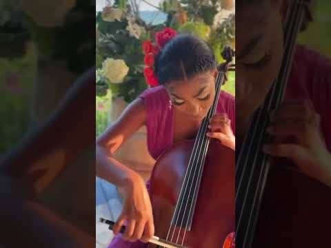Promotional video thumbnail 2 for Aijeecello Performance