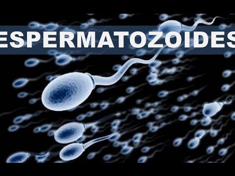 Stein in der Prostata von dem, was BPH-Behandlung ALMAG