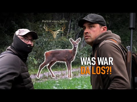 🌲🦌 Waidmannsfilm im Schwarzwald: Spannende Jagd mit Fabian 🌿