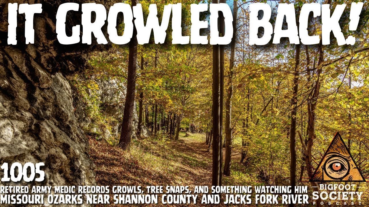 Retired Army Medic Encounters Something Watching Him In The Missouri Ozarks