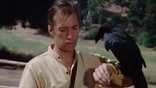 Kung Fu: Caine the Raven Whisperer