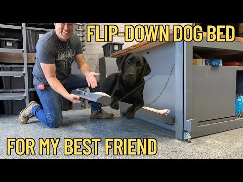 DIY Modern Dog Bed - A Hidden Space-Saving Murphy Bed Build for Beginners