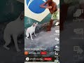 BRAZIL DOG DANCE