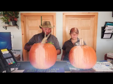 Carving Contest - Send us your best!