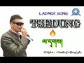 Download Tsedung Ladakhi Song By Tsewang Namgyal Mp3 Song