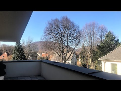 Lichtdurchflutete 3-Zimmer-Wohnung mit großer Dachterrasse