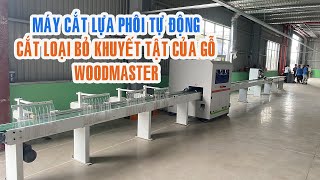 Máy cắt phôi vạch phấn, cắt gỗ tự động WM-S260 Woodmaster