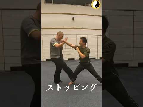 自然門六合拳｜ストッピング #ストッピング#cqc ゼロ距離 #超接近戦 #自然門 #ziranmen #近距離格闘 #素手制圧 #martialarts #selfdefense