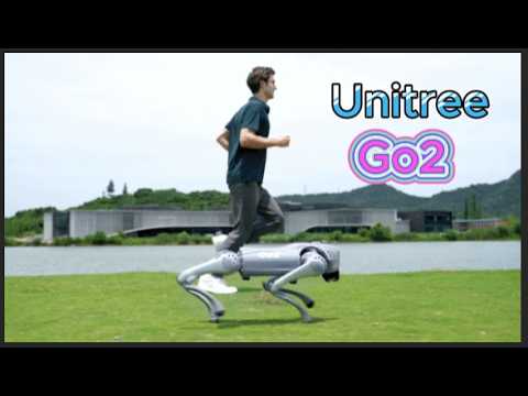 Introducing Unitree Go2 - Quadruped Robot of Embodied AI