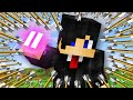 Minecraft But You CONTROL TIME