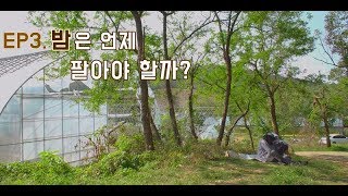 (Ep.3)산에서 돈 벌고싶어? 숲퍼맨이 알려줄게.