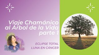VIAJE AL ÁRBOL DE LA VIDA | MEDITACIÓN ECLIPSE