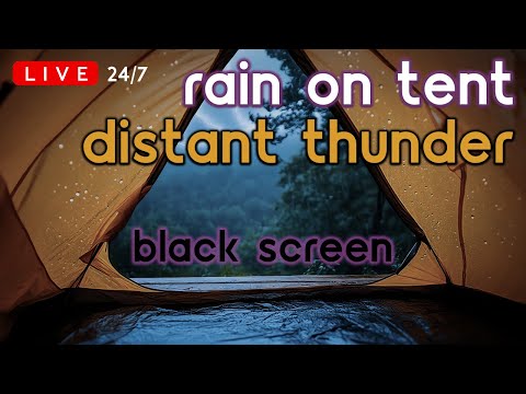 🔴 [LIVE 24/7] Rain on Tent with Distant Thunder | Rain Sounds for Sleeping [Black Screen]