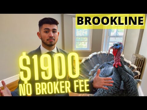 $1900 RENT IN BOSTON | BOSTON APARTMENT TOUR | RENTING IN BROOKLINE