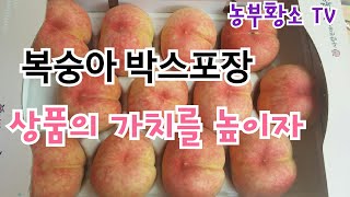 복숭아 박스포장 돈되게 하는 방법/ 프로들은 이렇게 합니다