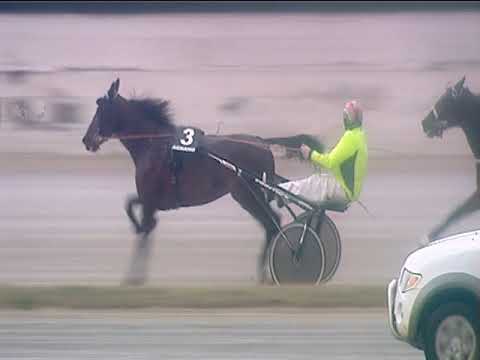 Trotto 29/01/2019 - 3ª corsa