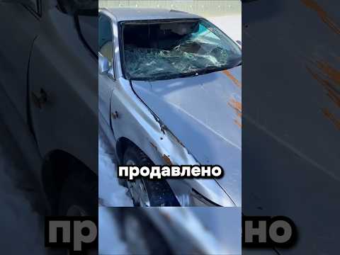 Что там на Камчатке с машинами?