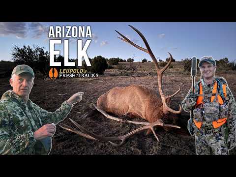 Persistence Pays Off! | BIG Arizona Bull!
