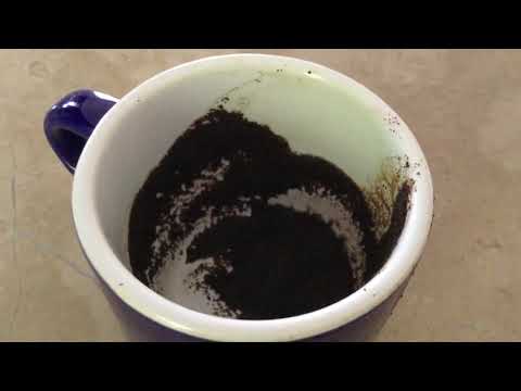 Gemini Step up, get advice, and hold your own! August 9, 2021 Weekly Coffee Cup Reading