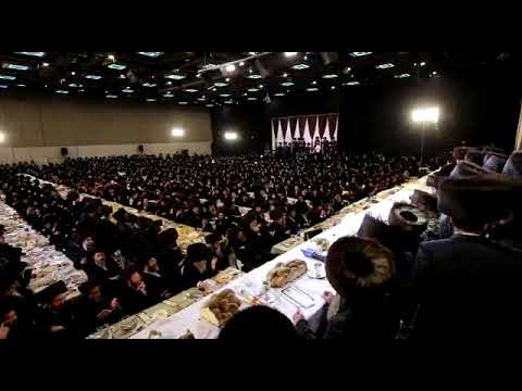 שבע ברכות לנכדת האדמו"ר מויזניץ