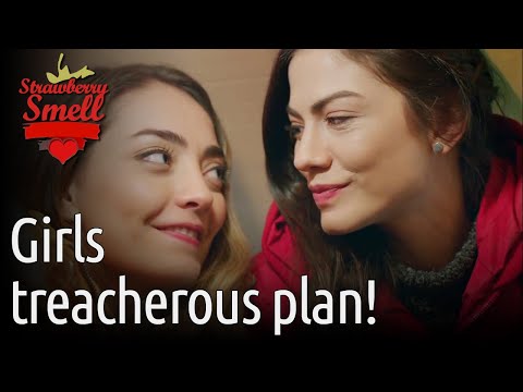 Girls Treacherous Plan! - Strawberry Smell (English Subtitles) | Cilek Kokusu