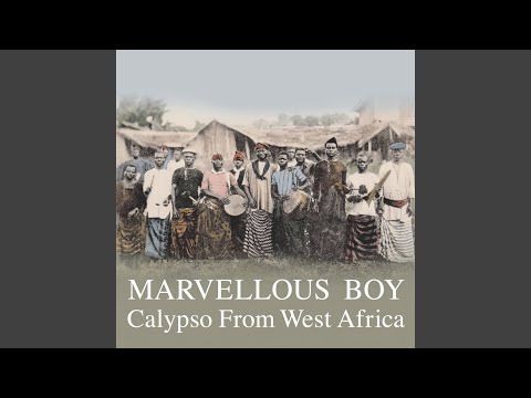 The Tree and the Monkey