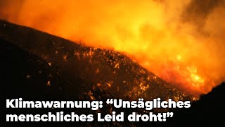 Weltweiter Klima-Notfall: Dramatische Warnung von 11.000 Wissenschaftl