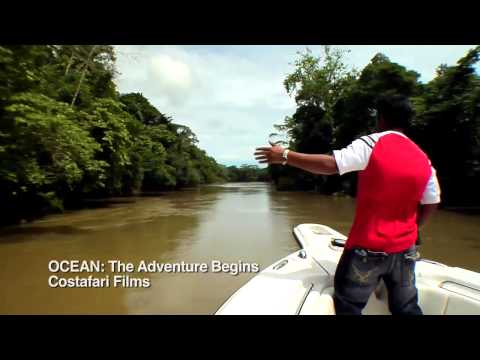 Here's What Digital Street Can Do With Video