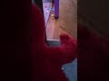 Tickle Elmo S Taint