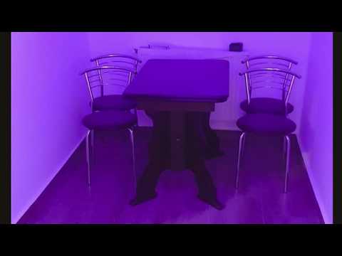 Cazare la mare Constanta   Mamaia Delfinariu