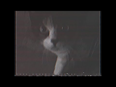 Mudamos - Allan Fontes