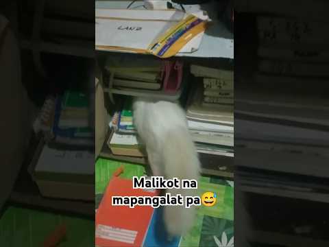 Sanyo na si Boss Maw😅