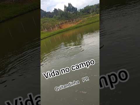 #paraná #Quitandinha #pesqueiro #descanso