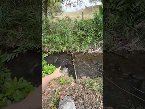 🌊 ¡Tu propio río en Santa Elena por $150M!