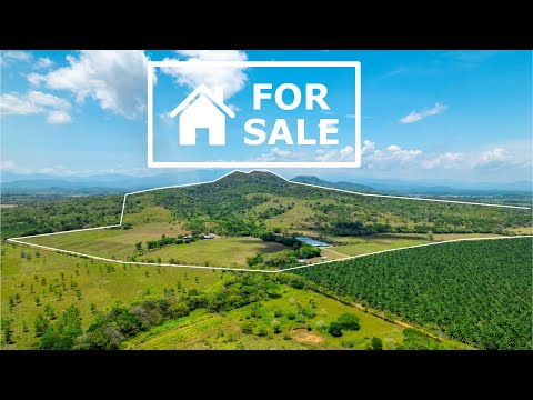 Modern Dairy Farm 350 Hectares San Lorenzo Chiriqui Panama SSS2988