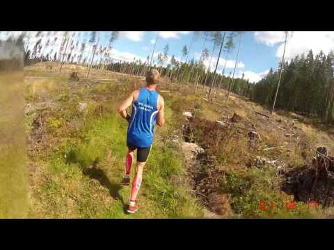 Dalenrundan 2016 - 6 km (Löparperspektiv, kort)