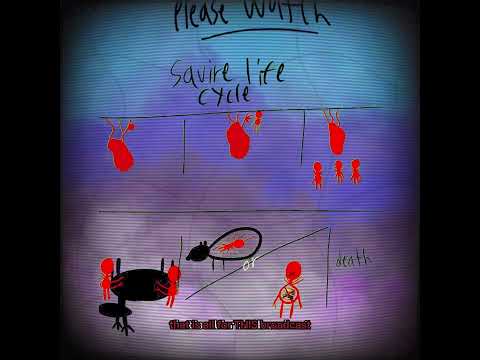 Knighted | Flos Caro