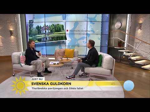 Res hit i sommar - smultronställen i Sverige  - Nyhetsmorgon (TV4)