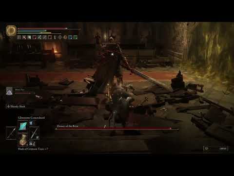 Elden Ring Boss Battle (Elemer of The Briar)