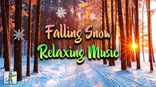 Beautiful Snow Falling ❄️ Winter Forest SNOW & The Best Relax Music