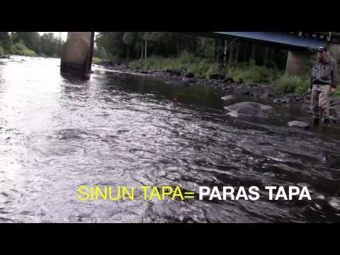 SpinTubet virtaan ja seisovaan veteen - Kalastus - Koskikalastus - Kirjolohi - Ahven