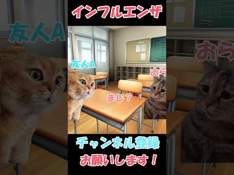 子猫のインフルエンザ、どうすればいいの?